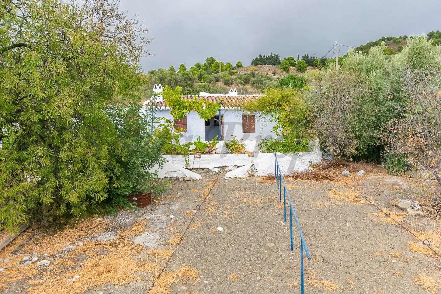 Casa amb jardí en venda a Canillas de Aceituno, imagen 2