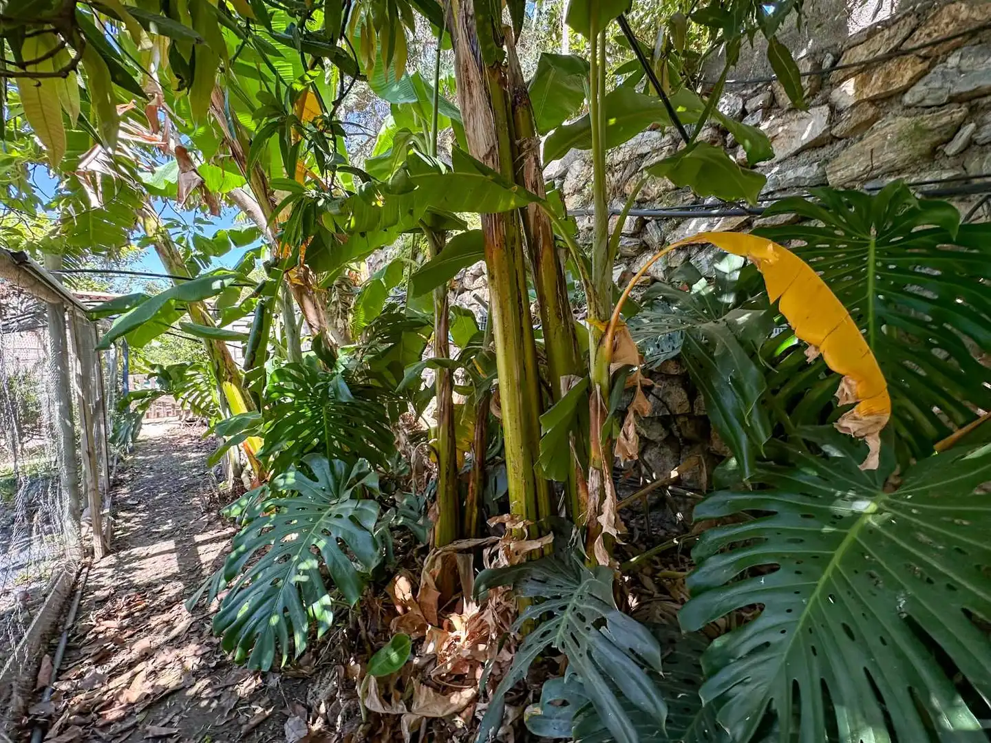 Vista exterior de Casa o chalet en venta en Motril con Calefacción, Terraza y Trastero