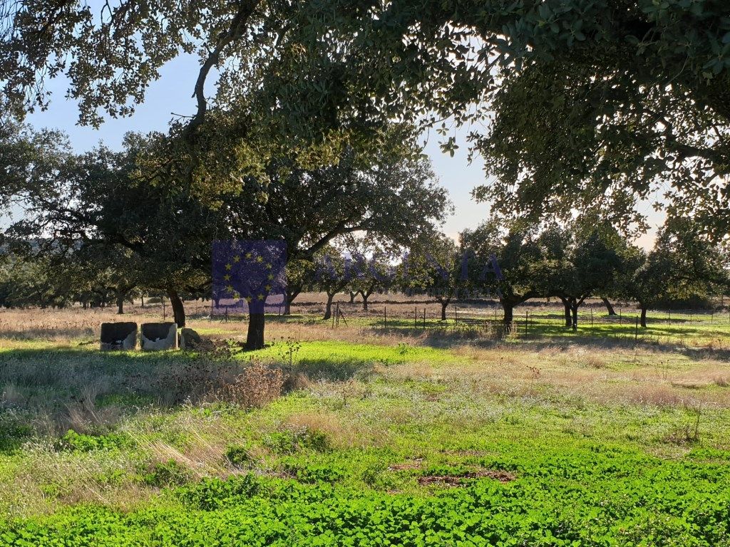 Finca rústica en venda en Monroy
