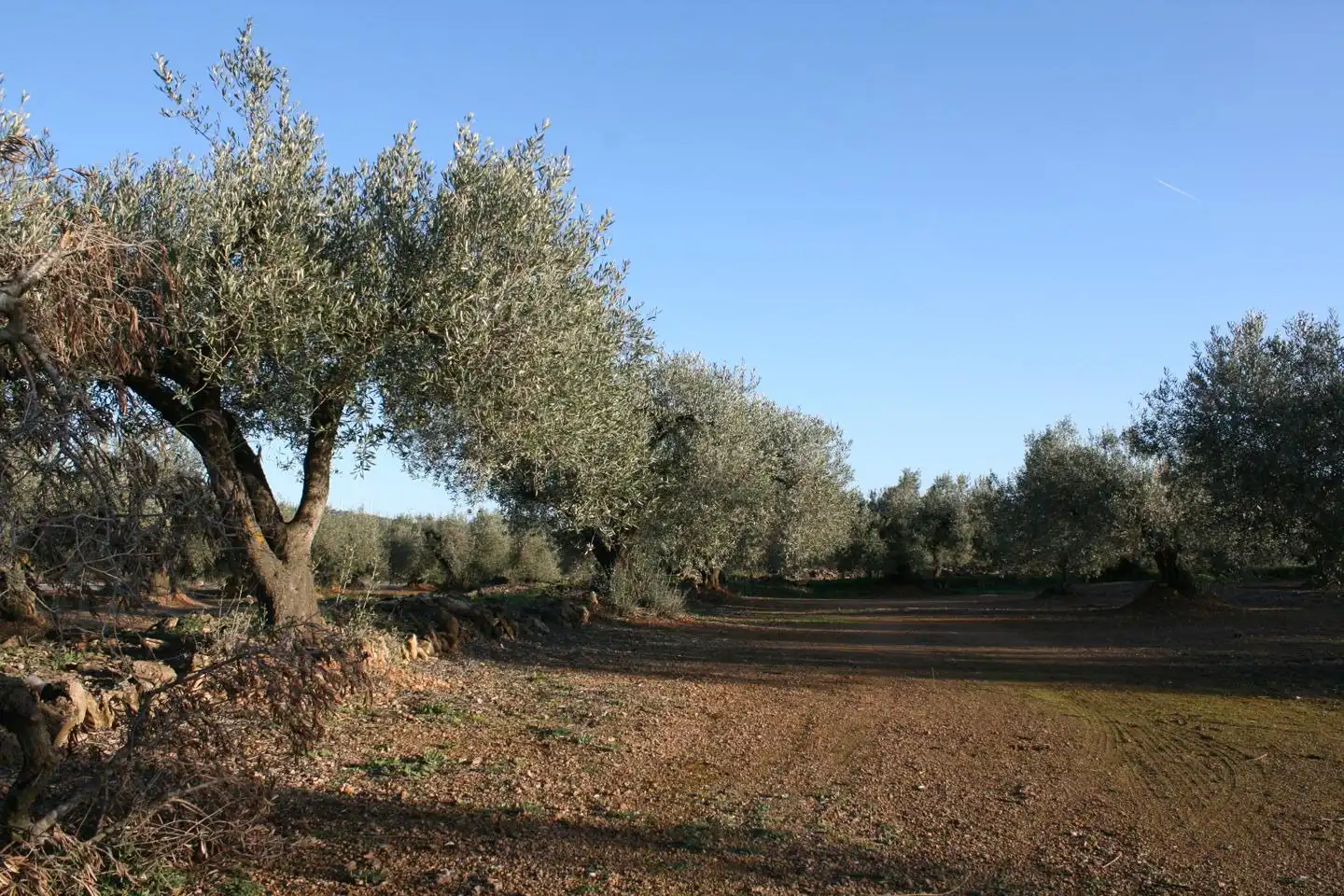 Casa rustica in vendita a burga, imagen 6