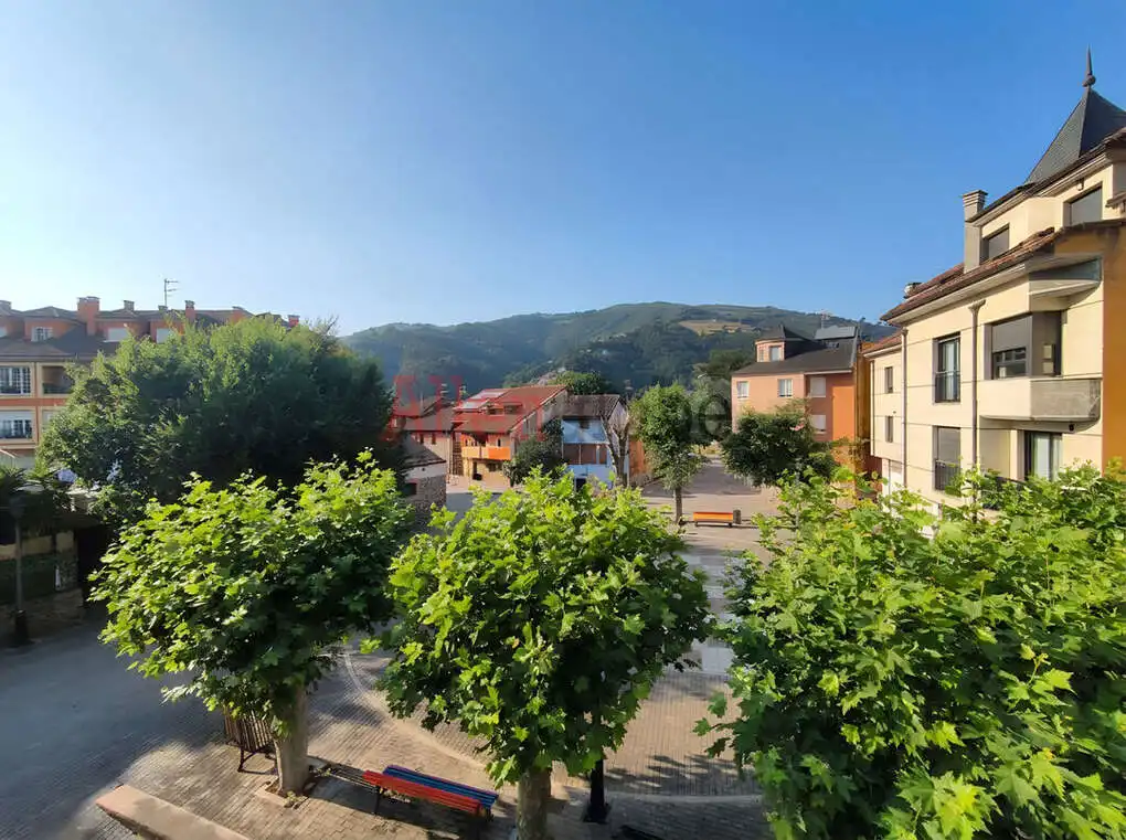 Vista exterior de Piso en venta en Mieres (Asturias) con Calefacción, Terraza y Balcón