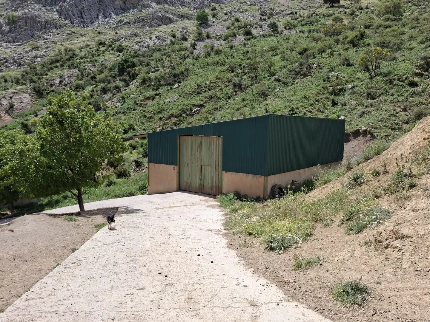 Terreni e lotti in vendita a Alfarnatejo, imagen 4