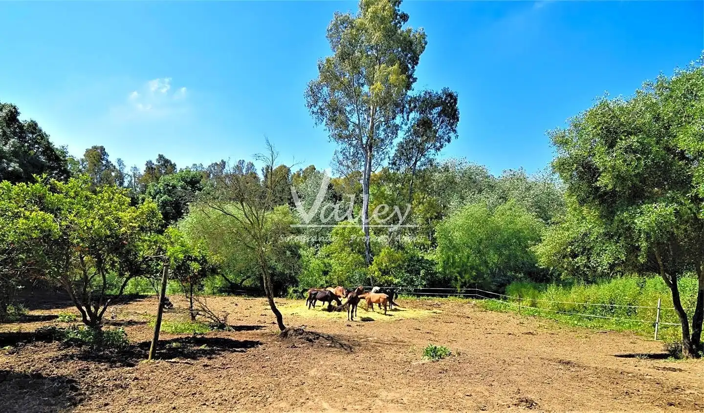 Terreni e lotti in vendita a Jimena de la Frontera, imagen 47