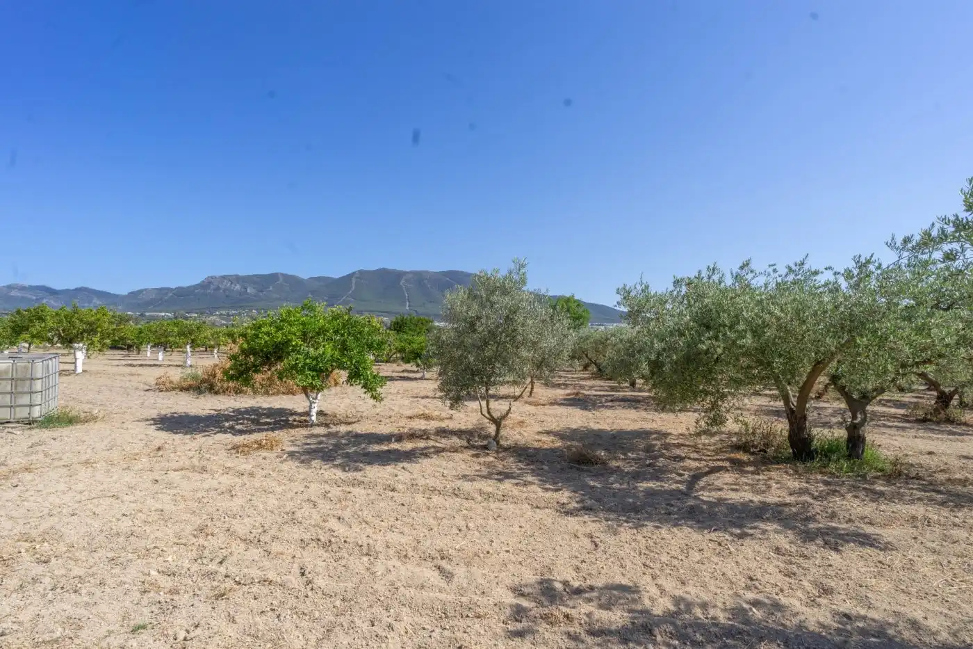 Rural land for sale in Centro