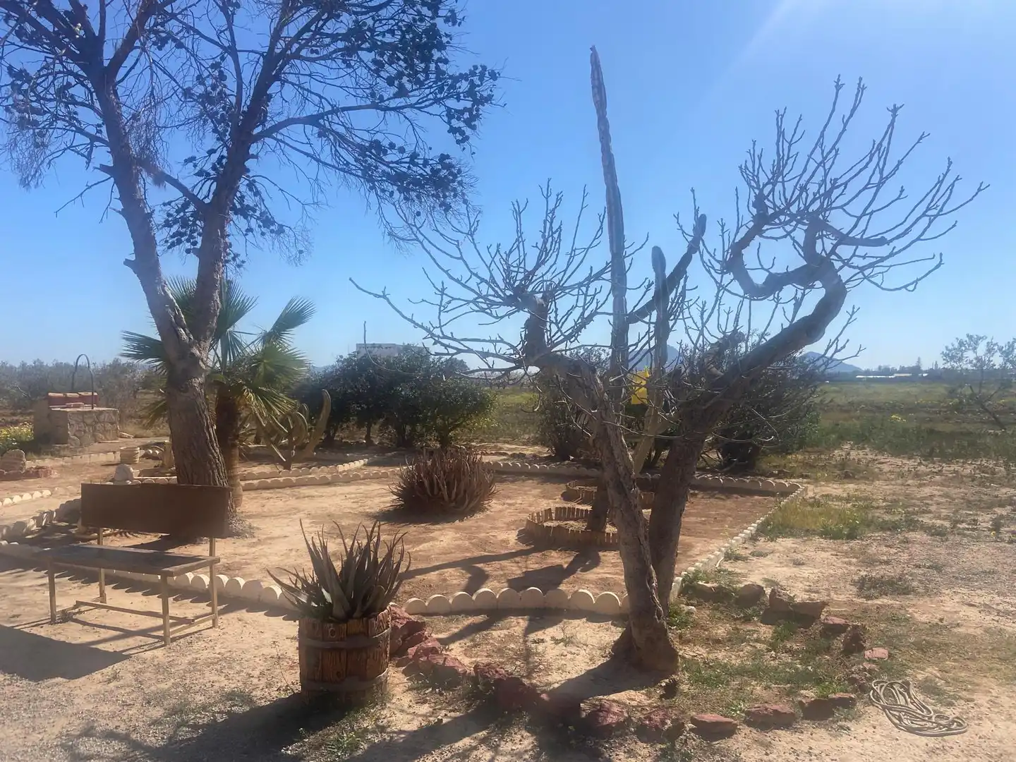 Terreno rústico en venta en Pedanías Oeste, imagen 3