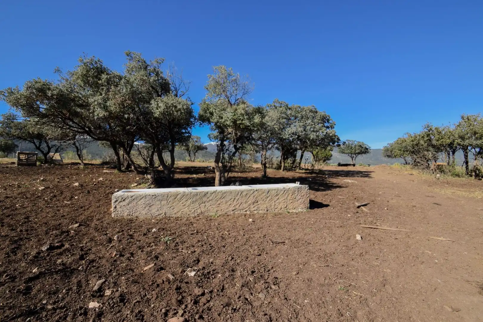 Terreno en venta en Paraje de las Perdices, Lugros