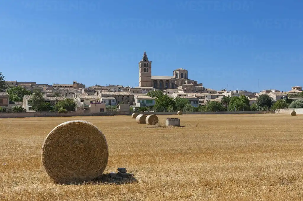 Terreny rústic en venda a Sineu, imagen 18