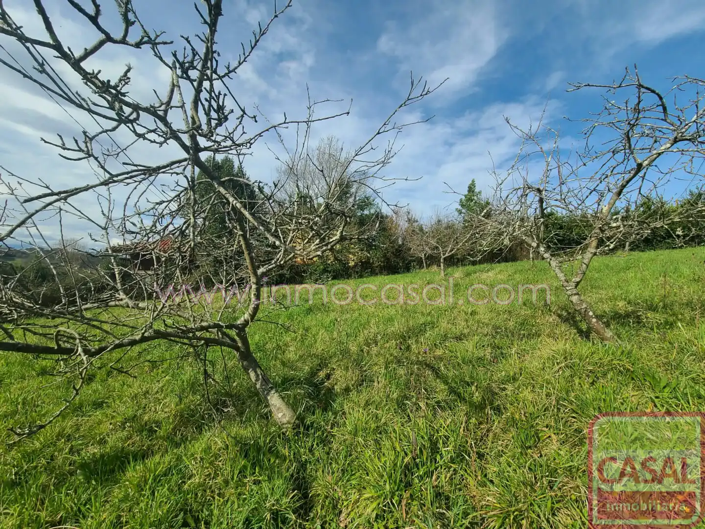 Grundstücke und Bauplätze zum Verkauf in POLIGONO 51 PARCELA 132, imagen 14