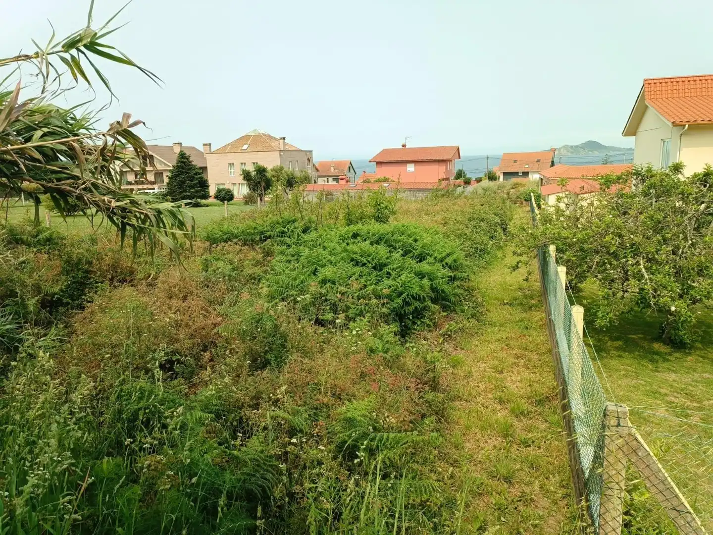 Terrain rustique à vendre à de San Xurxo, imagen 6