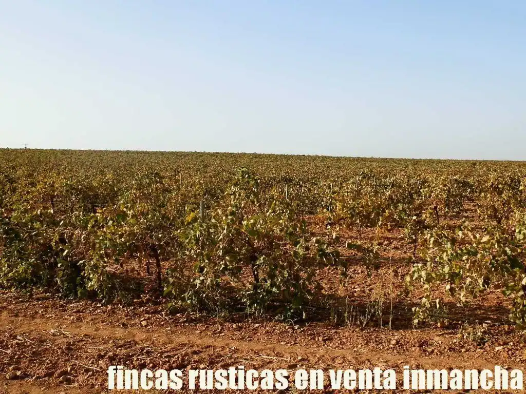 Terrenys i solars en venda a Almagro, imagen 3