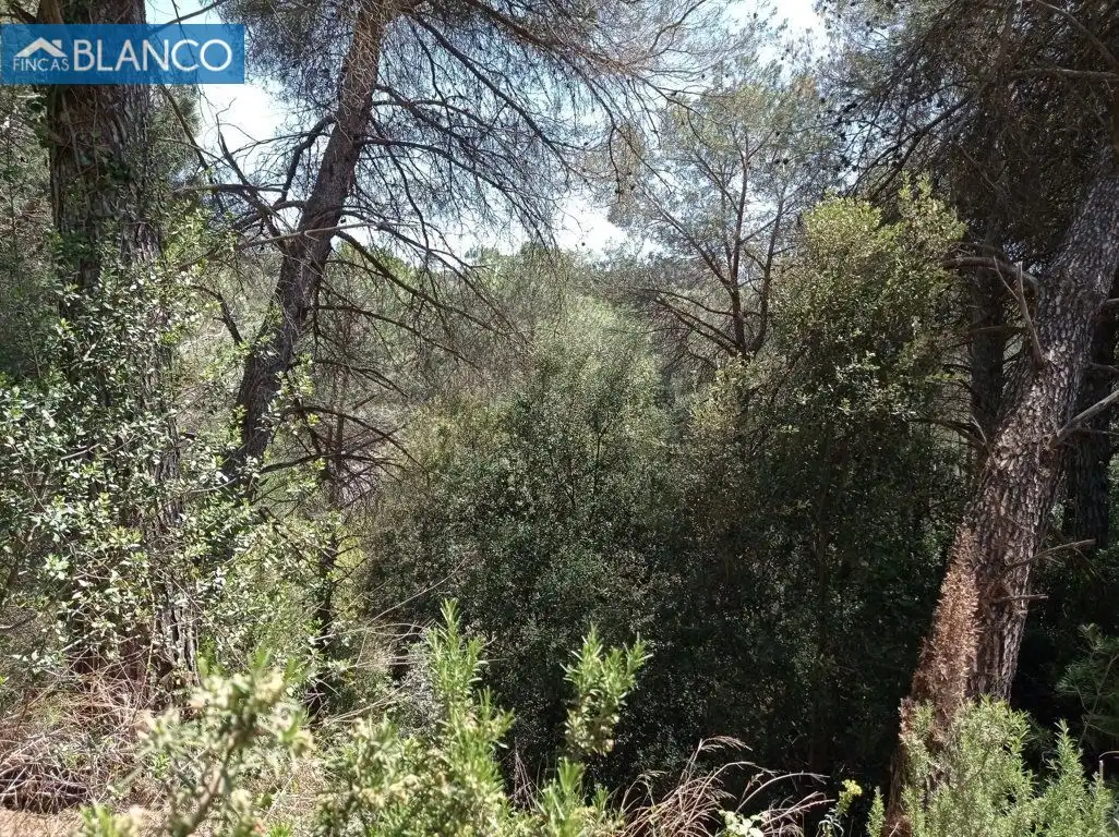 Residential for sale in Calle Castelldefels, Cabrera d'Anoia