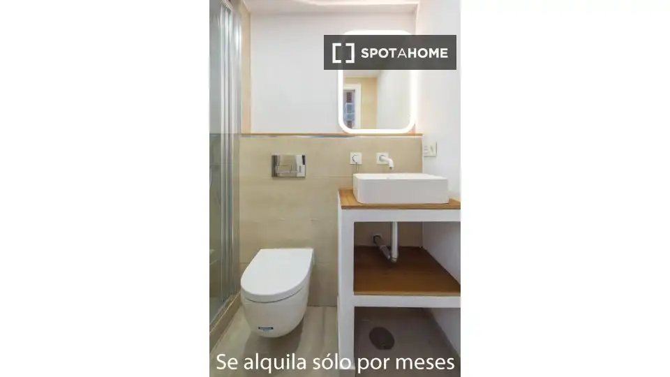 Bany de Pis de lloguer en Madrid amb Aire condicionat, Calefacció i Moblat