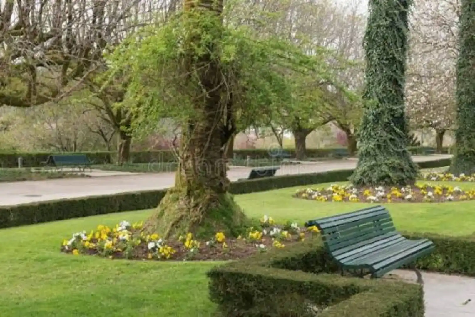Jardí de Casa adosada en venda en Santiago de Compostela  amb Piscina i Balcó