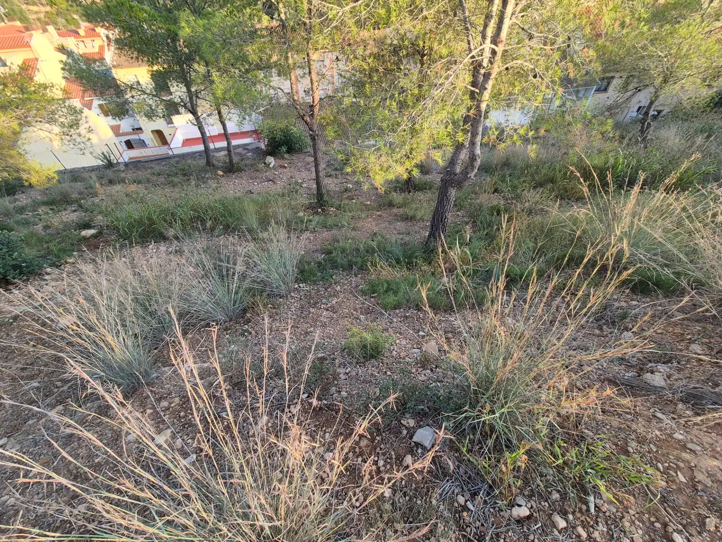 Terreny residencial en venda a Roda de Barà