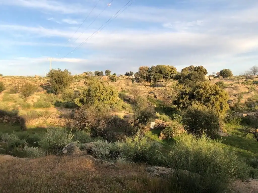 Casa rústica en venda a Aldea del Cano