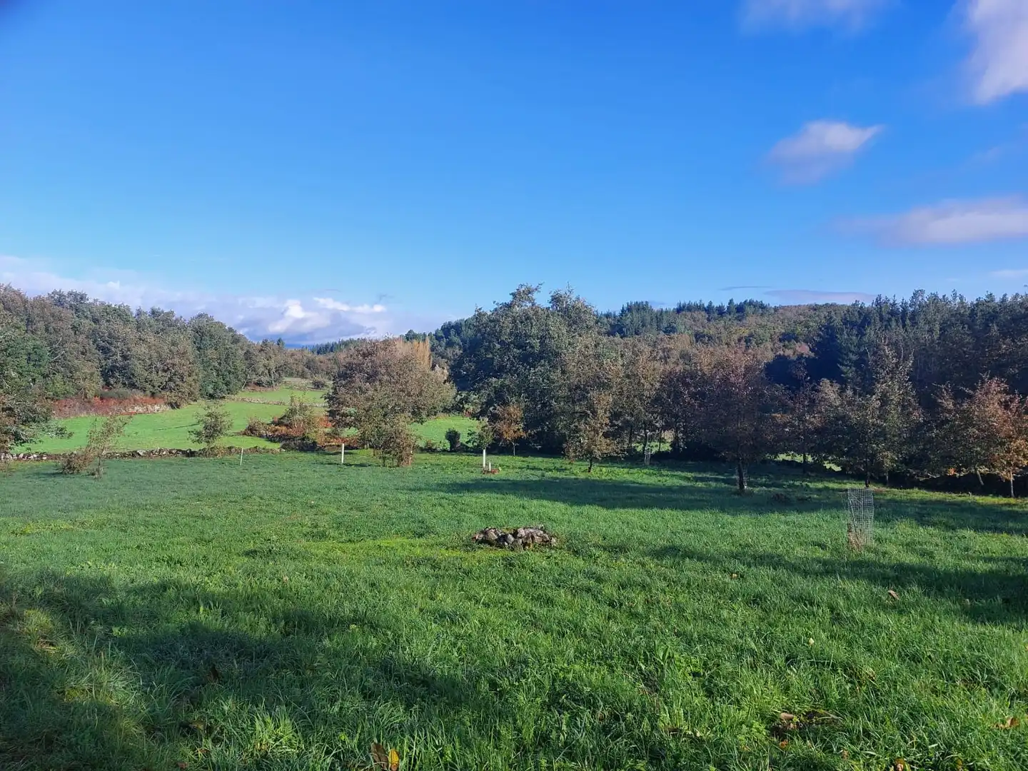 Country house with garden for sale in Sober, imagen 3