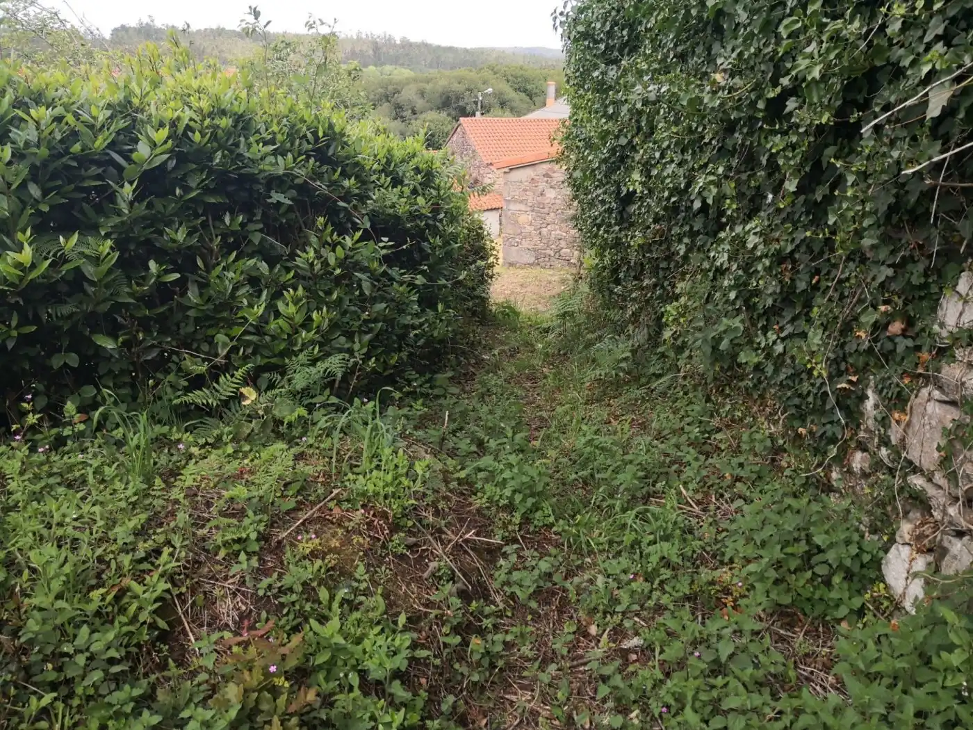 Casa o xalet en venda en Zas