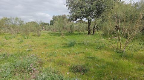 Magnífica parcela urbana en la Urb. Sierra Norte  Castilblanco de los Arroyos!