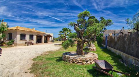 Foto 2 de Finca rústica en venda a 42 Parc. 38, Deltebre, Tarragona