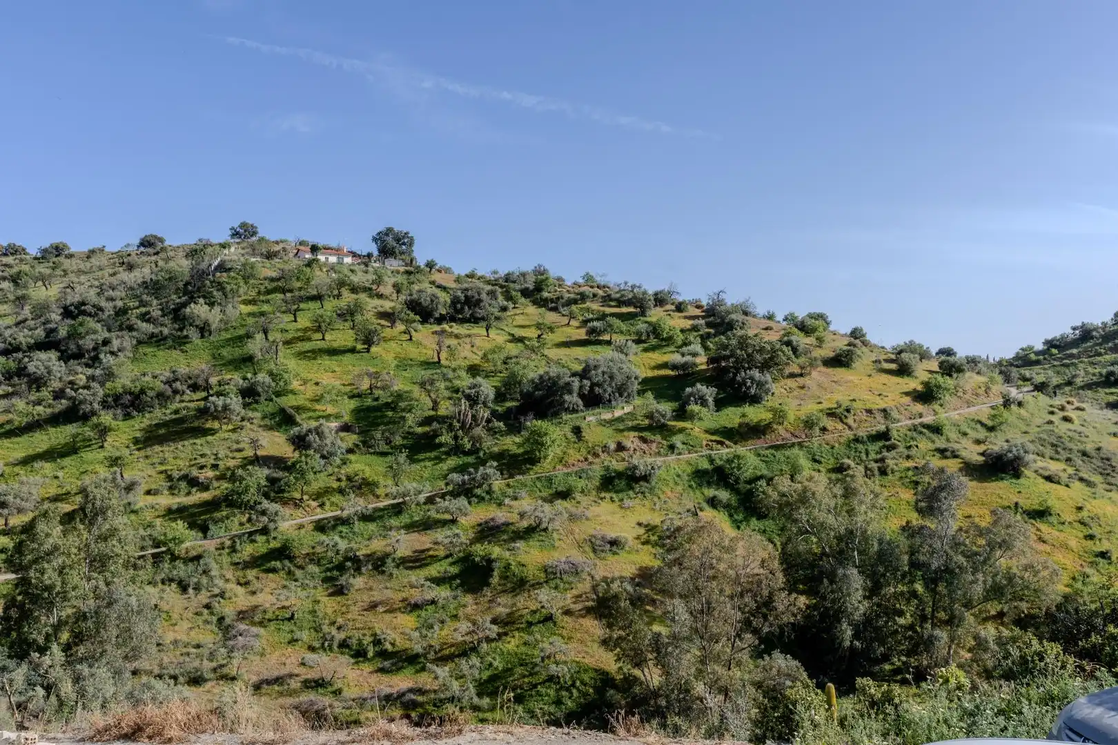 Houses for sale in Almogía