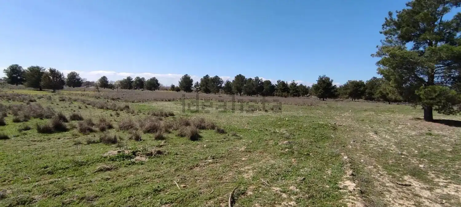 Terreno rustico in vendita a Pedanías - Extrarradio, imagen 7