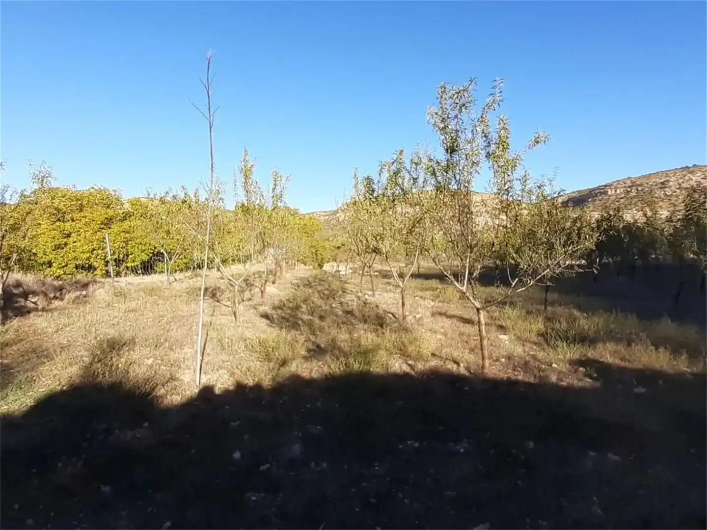 Terreno en venta en Algar de Mesa, Guadalajara