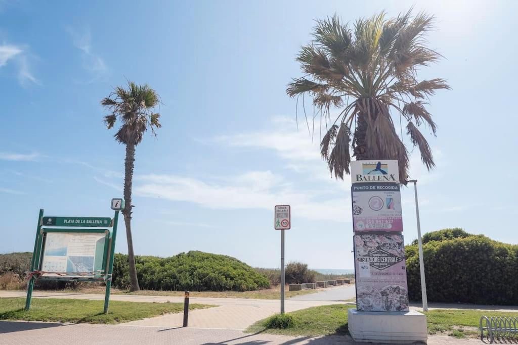 Vista exterior de Apartament de lloguer en Rota amb Aire condicionat, Terrassa i Moblat