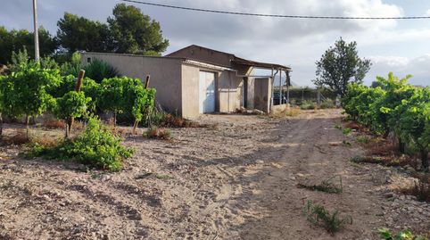 Casa de Aperos en Novelda