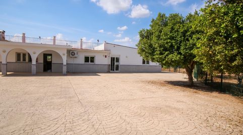 Excepcional Finca Rústica Recién Reformada con Piscina y 5.200 m2 de Parcela en El Pintado, Gibraleón, imagen 4