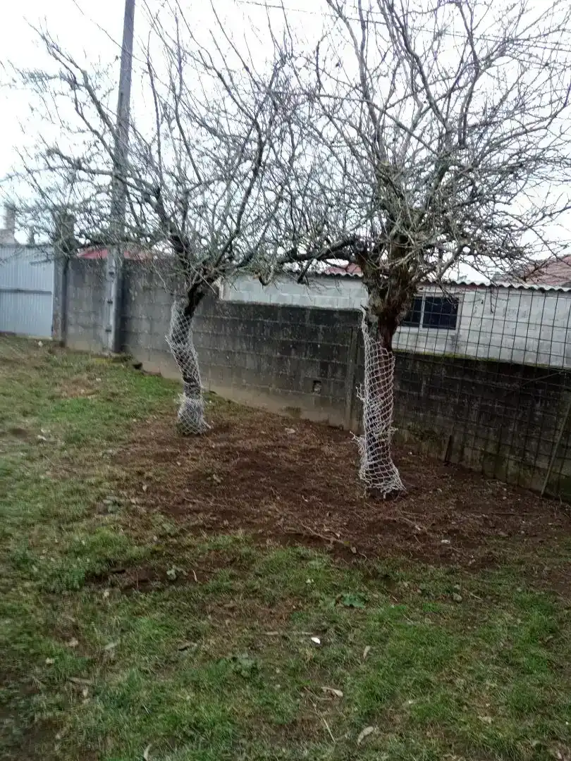Jardí de Planta baixa en venda en Mos