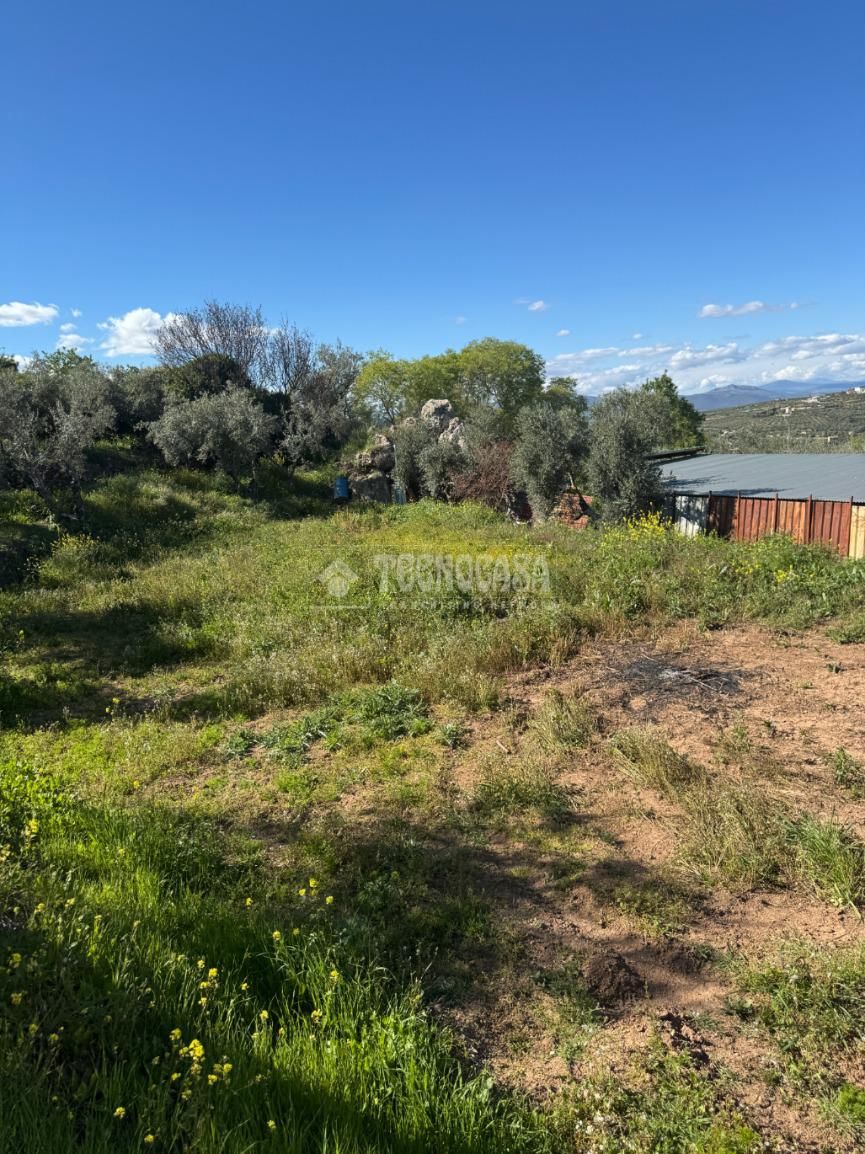 Finca rústica en venta en Nívar