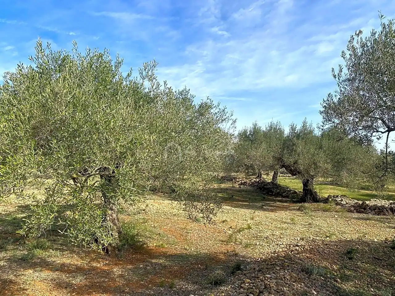 Terreno rustico in vendita a Planas, imagen 12