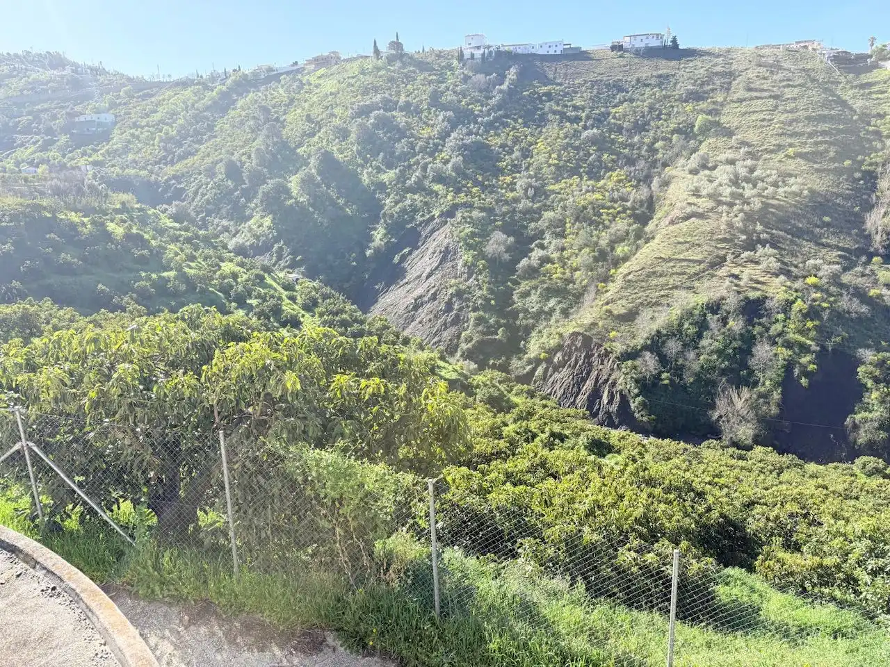 Exterior view of Land for sale in Canillas de Albaida