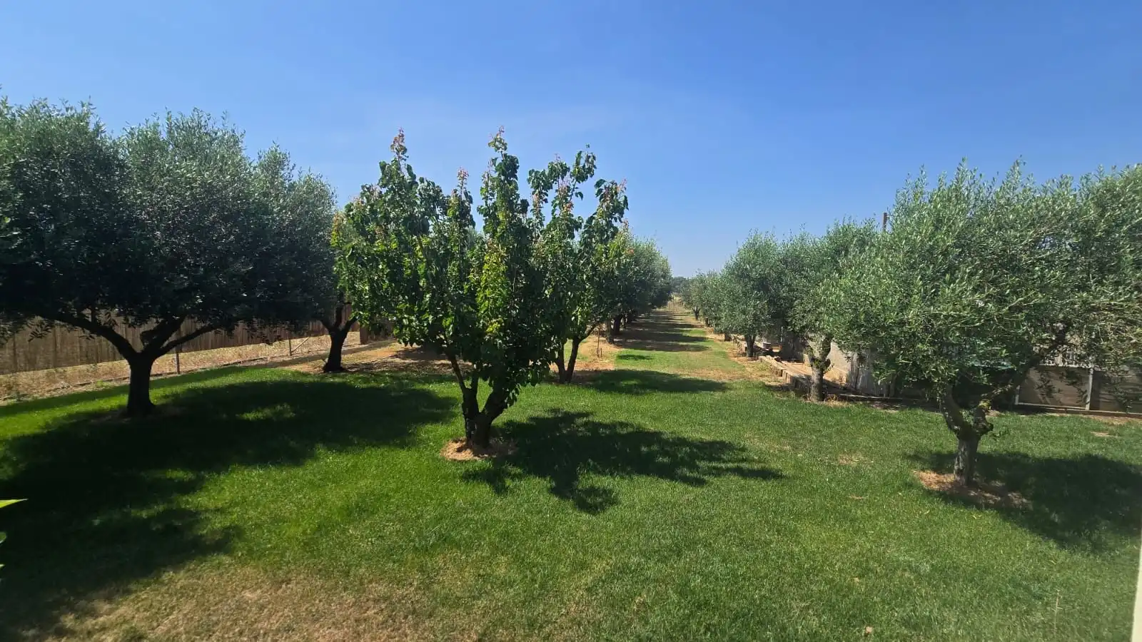 Casa con piscina en venta en Muga - Gran Reserva - Badia, imagen 18