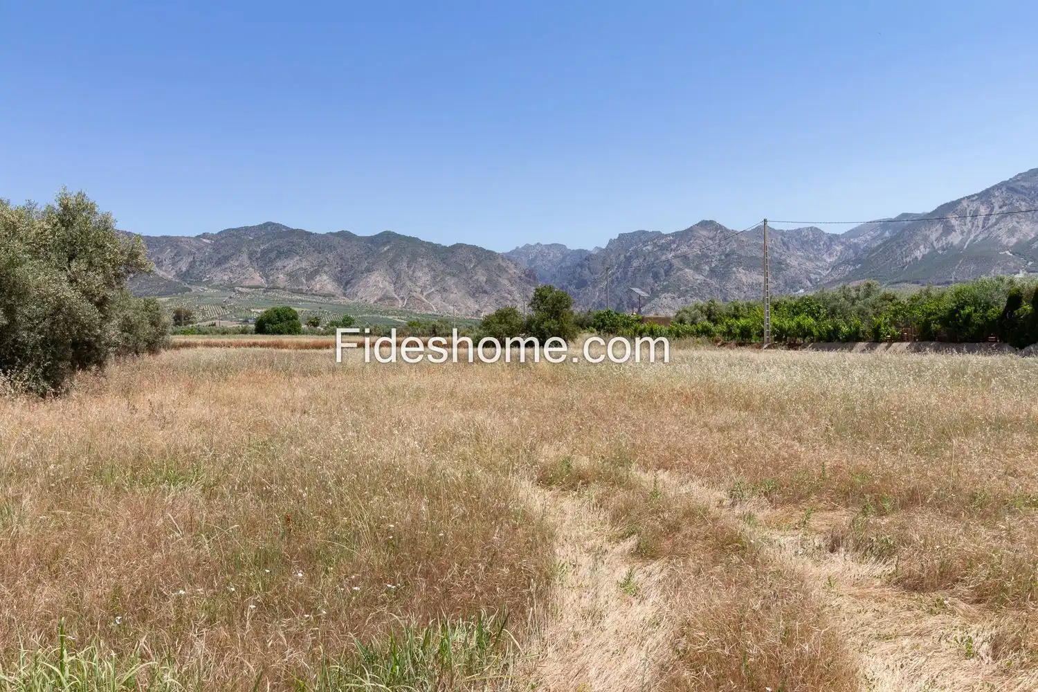 Rural land for sale in XCV6+H86 Cozvijar 0, imagen 7