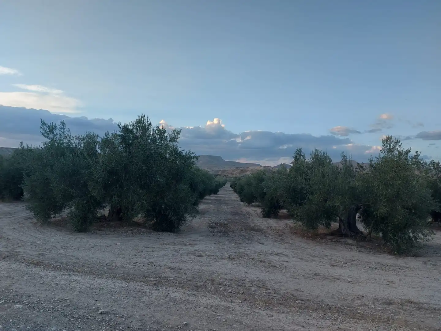 Terreno en venta en Alicún de Ortega