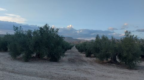 Photo 5 of Land for sale in Calle la Huerta, Alicún de Ortega, Granada