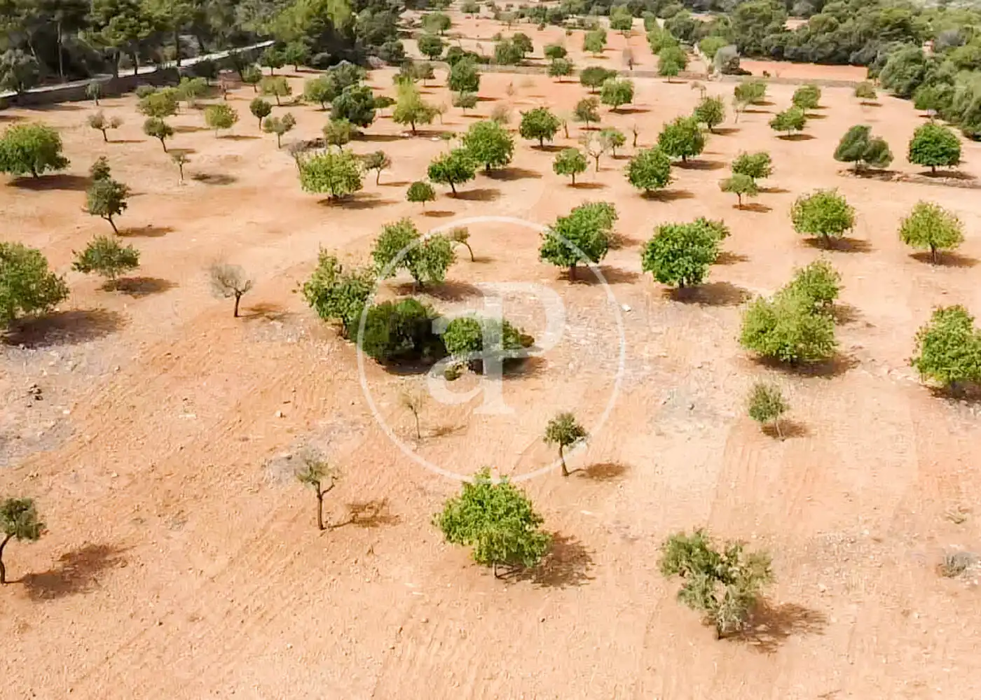 Terreno residenziale in vendita a Cami de.'s Presos, imagen 40