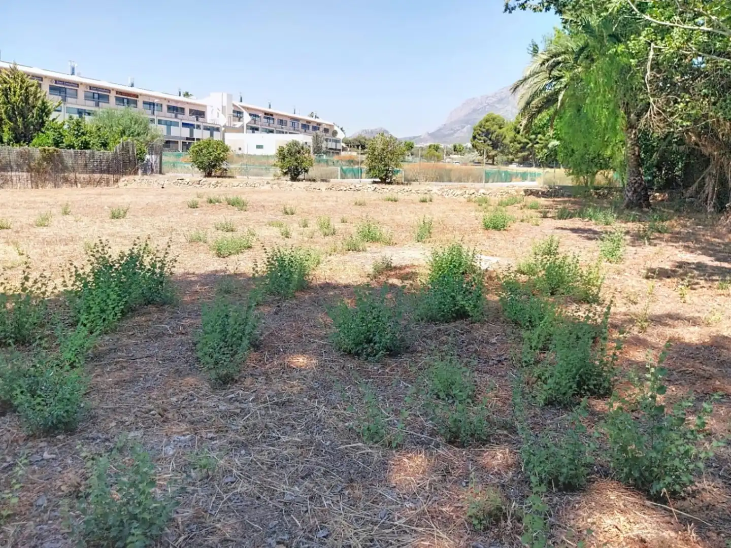Terrenos y solares en venta en Pueblo - Urbanizaciones, imagen 6