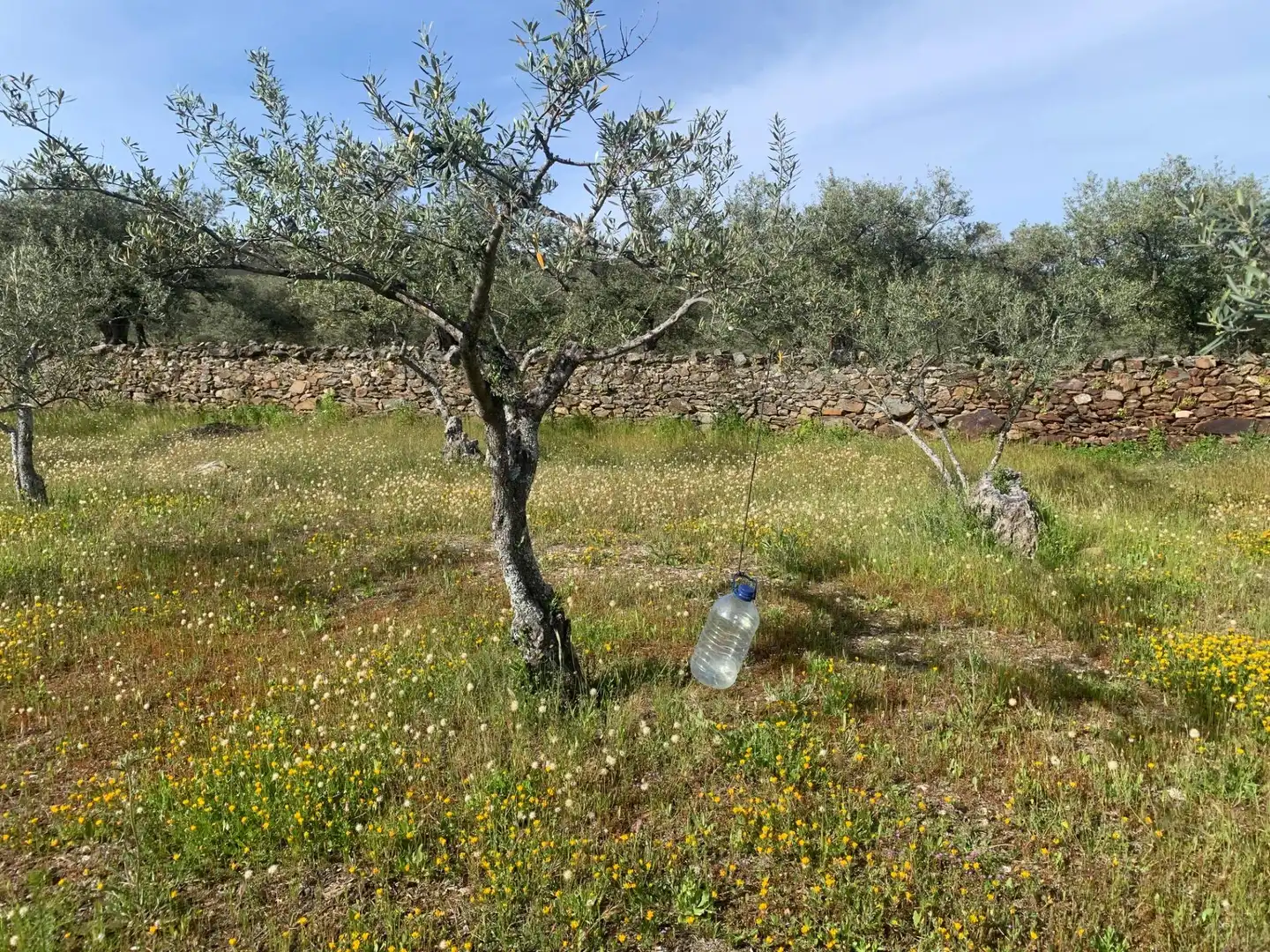 Terreni e lotti in vendita a LAS CARBONERAS, imagen 10