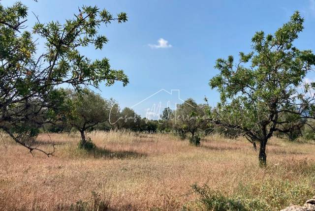 Terreno en Venta en N/A, -1 en Tivissa