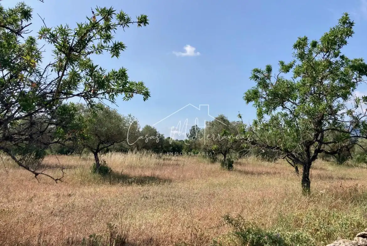 Rural land for sale in Tivissa