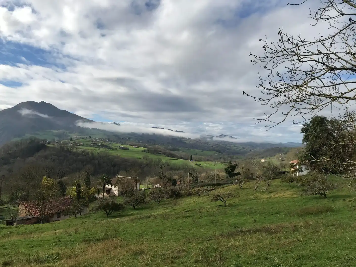 Terrenos y solares en venta en Parres, imagen 7