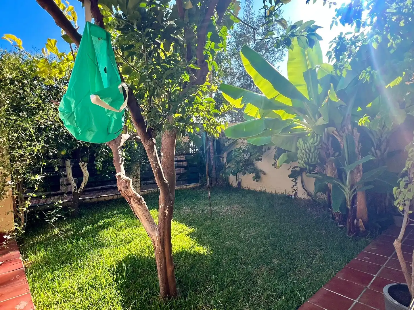 Semi-detached house with pool for sale in Chilches, imagen 8