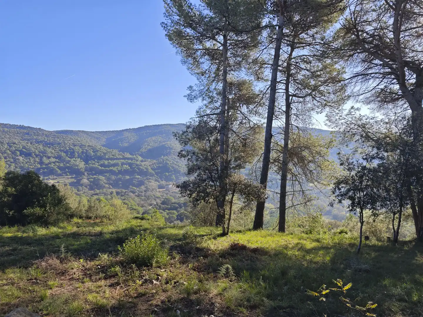 Casa o chalet en venta en Carrer Bellpuig, Montjuïc