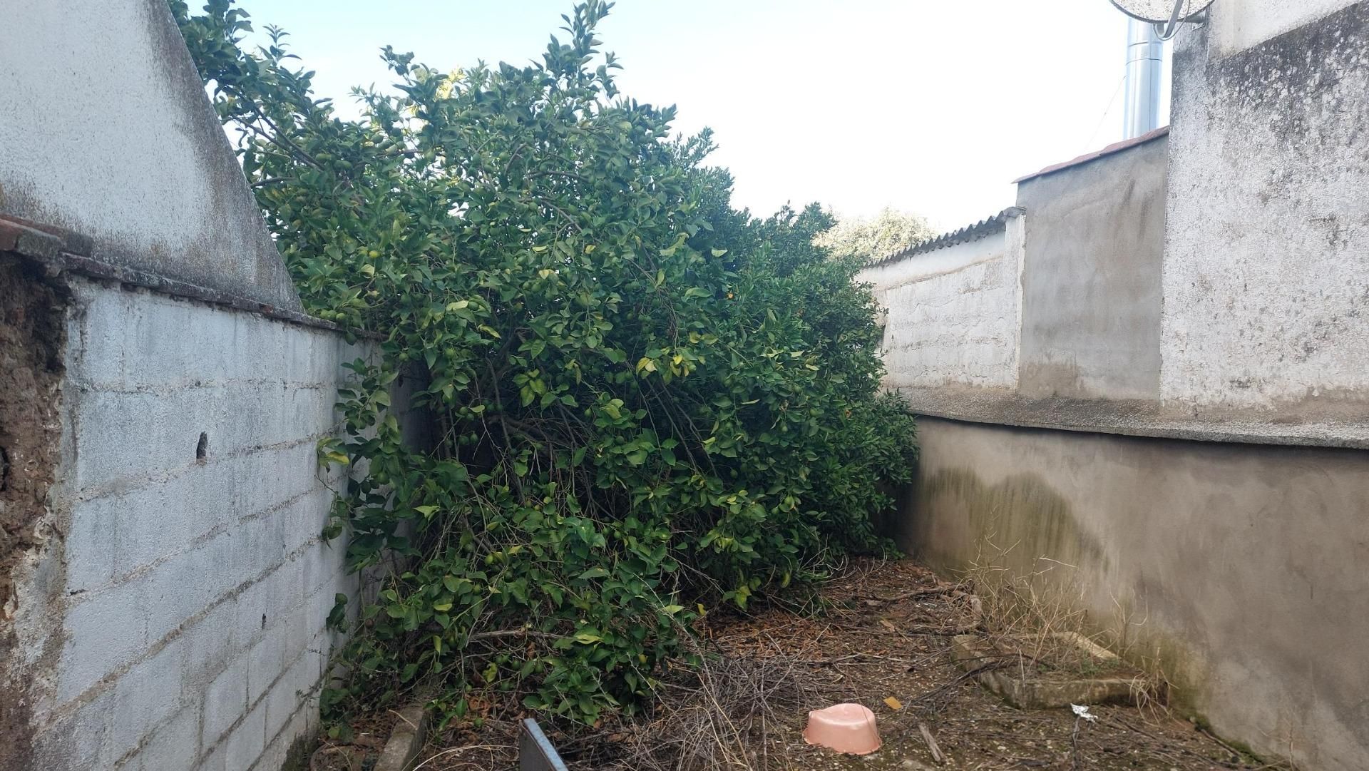 House or chalet for sale in Azuaga  with Balcony