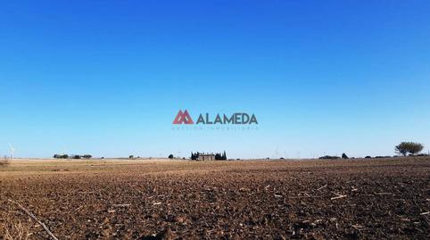 Photo 3 of Residential for sale in Los Franceses – La Vega, Chiclana de la Frontera