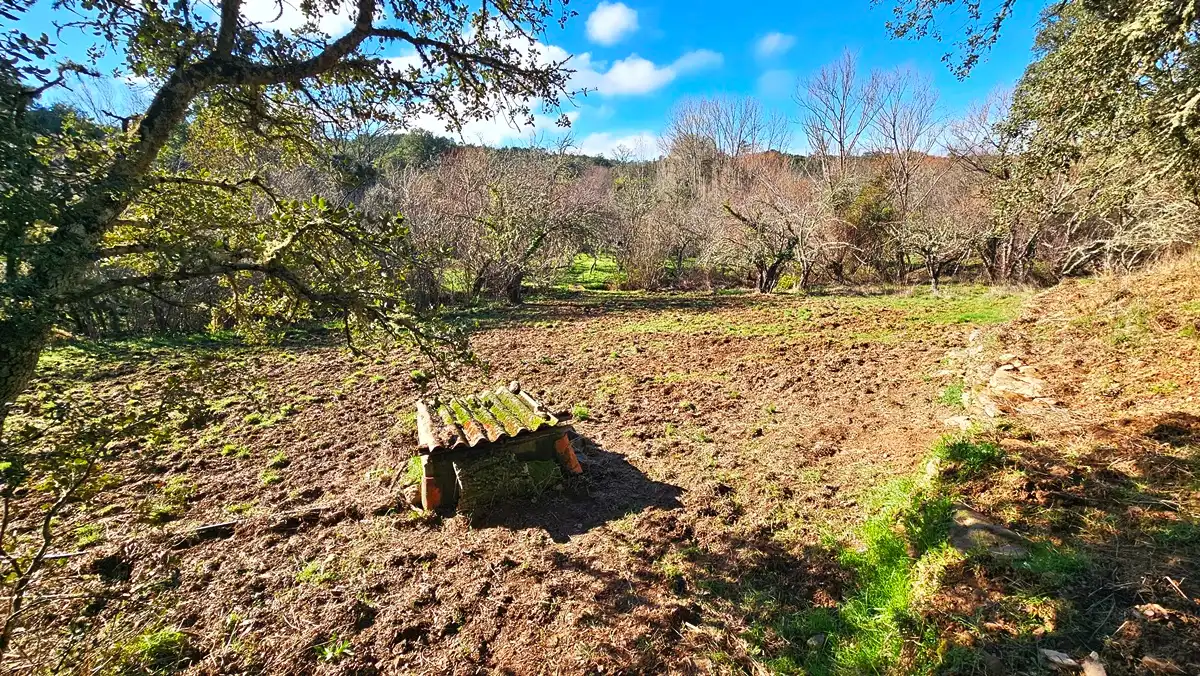 Casa o xalet en venda en Los Marines amb Jardí privat, Terrassa i Traster