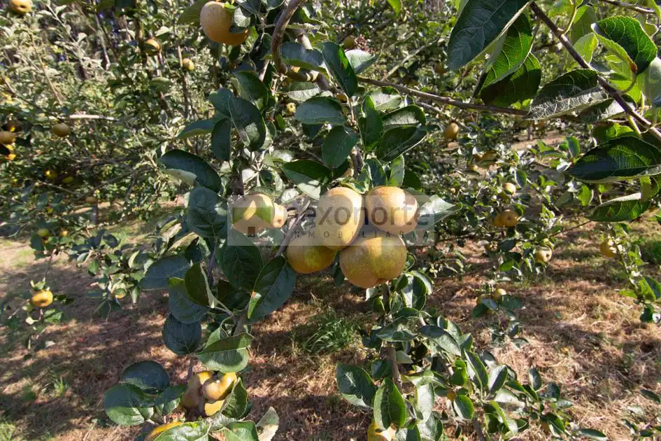 Jardí de Finca rústica en venda en Ortigueira amb Calefacció