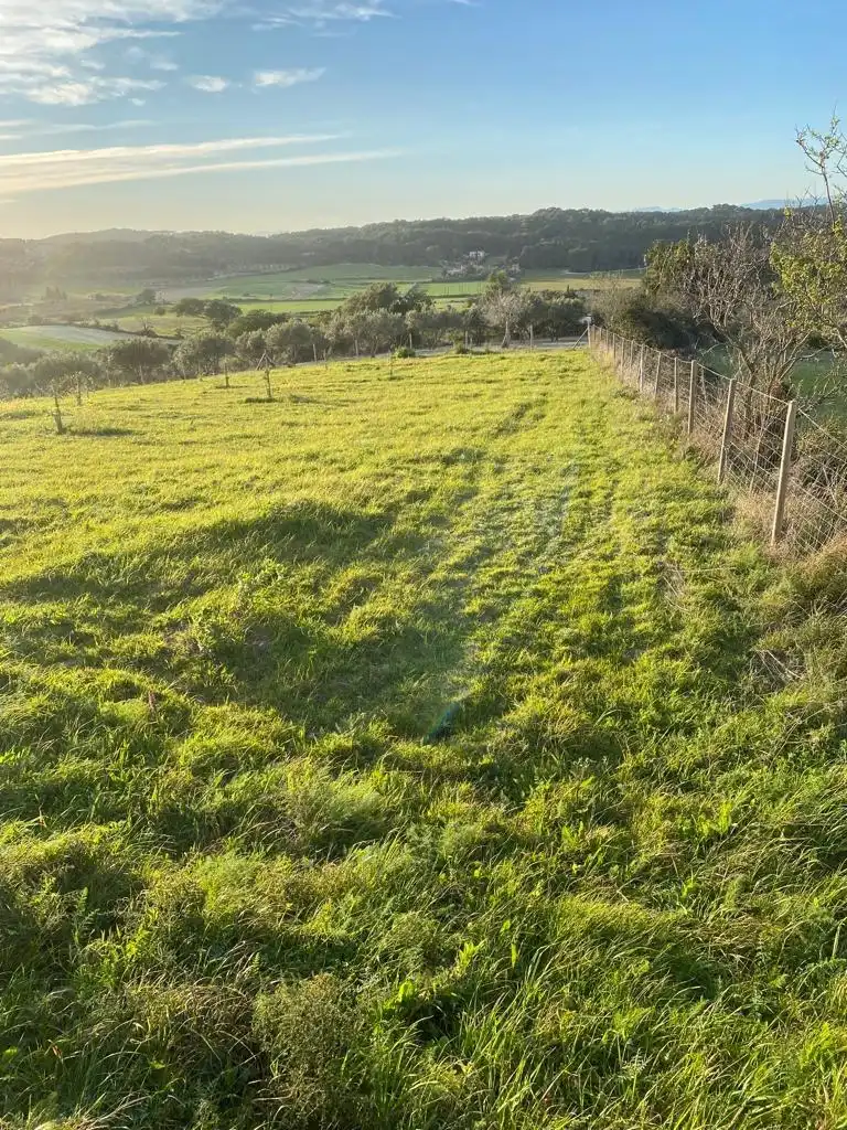 Terrain résidentiel à vendre à Algaida, imagen 7